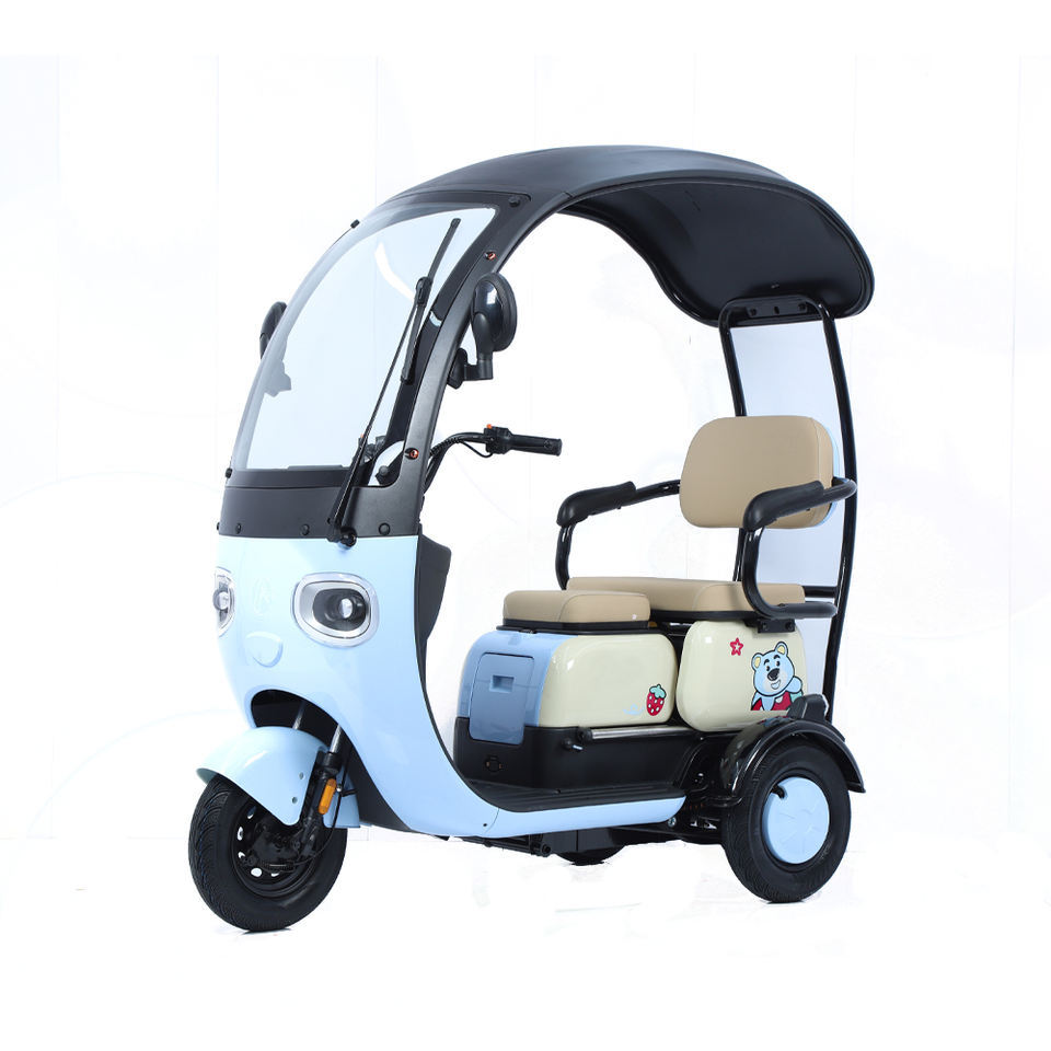 2024 Hot Sale E Trike 3 Wheel Electric Bike 800W Three Wheel Electric Cargo Tricycle for Adults