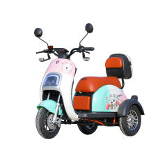 Wholesale 40km/h Three Wheel Electric Moped 800W Motor Electric 3 Wheel Tricycle Electric Scooter for Adults