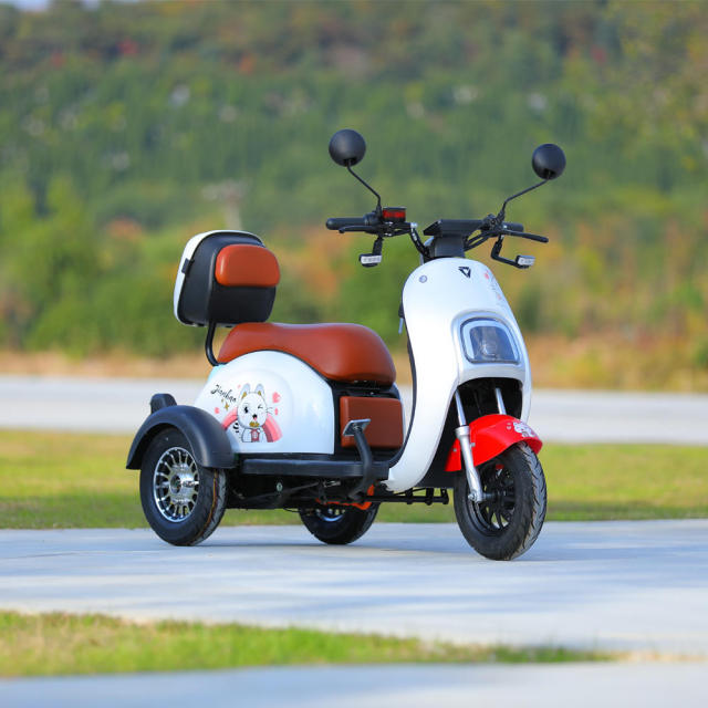 Wholesale 40km/h Three Wheel Electric Moped 800W Motor Electric 3 Wheel Tricycle Electric Scooter for Adults