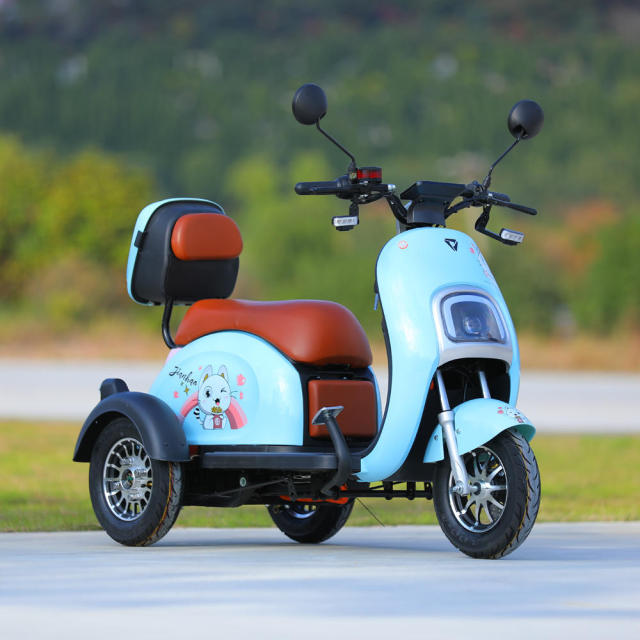 Wholesale 40km/h Three Wheel Electric Moped 800W Motor Electric 3 Wheel Tricycle Electric Scooter for Adults