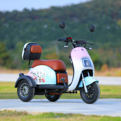 Wholesale 40km/h Three Wheel Electric Moped 800W Motor Electric 3 Wheel Tricycle Electric Scooter for Adults