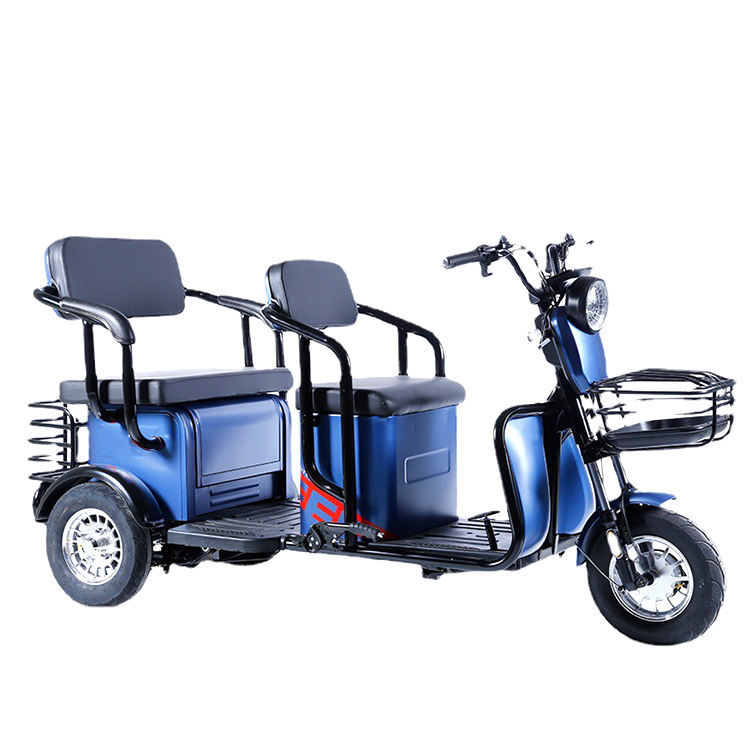 New Electric Tricycle 800W 60V Long Range E Cargo Bike 20Ah Lead-acid Battery 3 Wheel Electric Cargo Bike