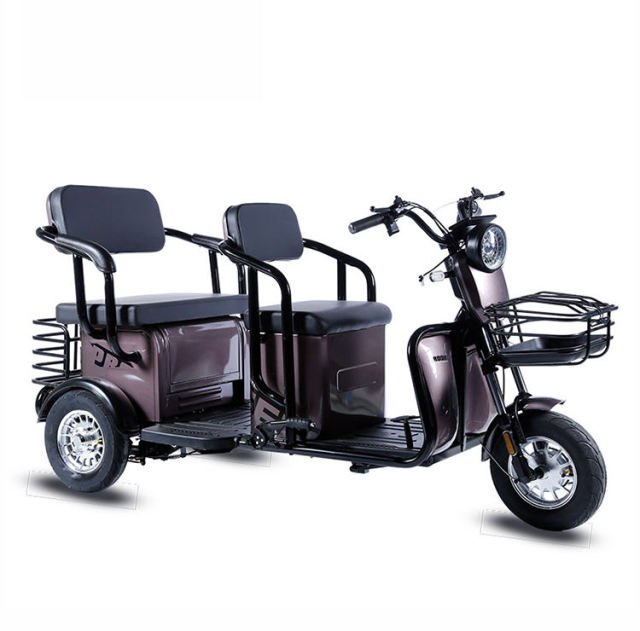 New Electric Tricycle 800W 60V Long Range E Cargo Bike 20Ah Lead-acid Battery 3 Wheel Electric Cargo Bike