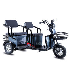 New Electric Tricycle 800W 60V Long Range E Cargo Bike 20Ah Lead-acid Battery 3 Wheel Electric Cargo Bike