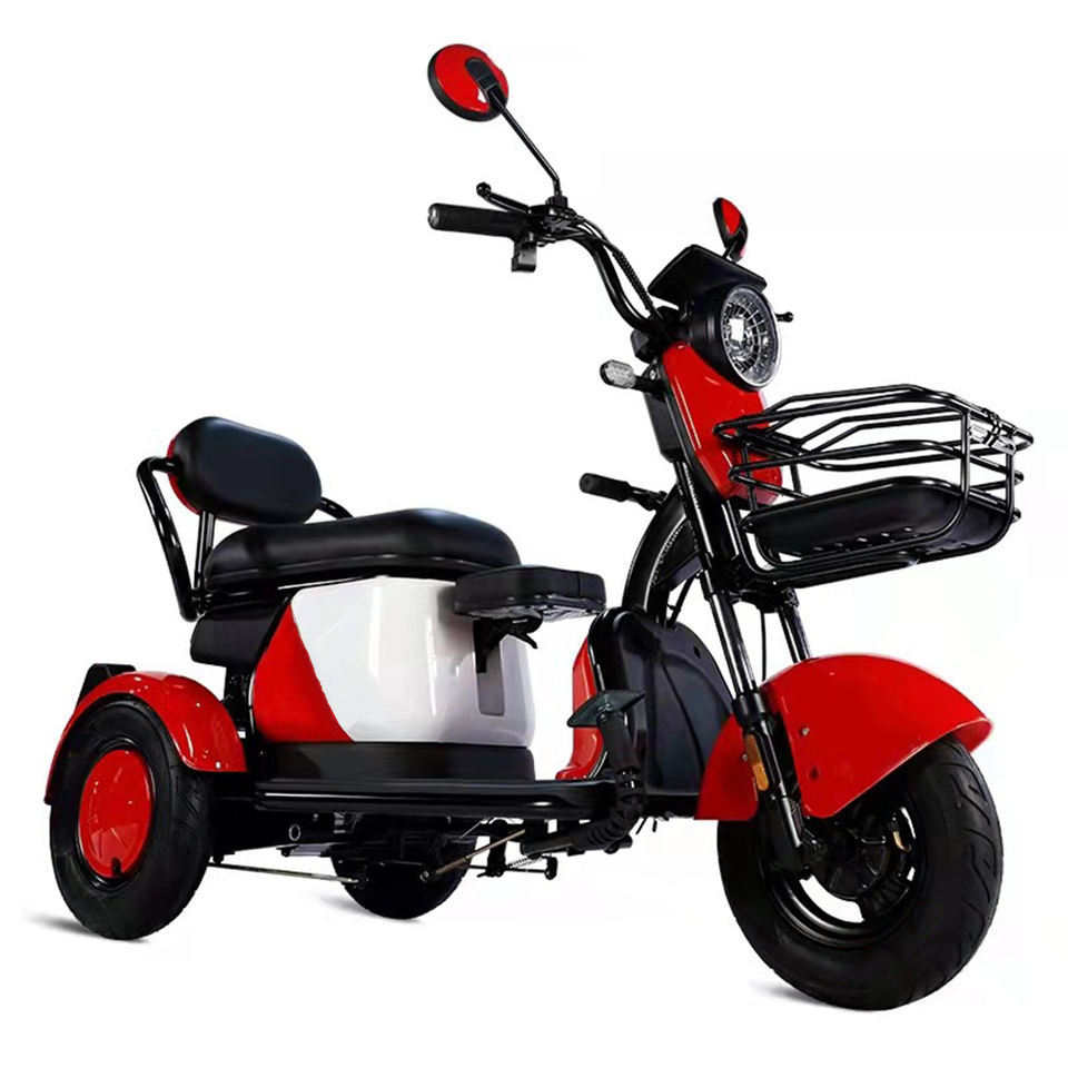 Electric Tricycle 48V 20Ah 600W Motor Electric Scooter Tricycle E Cargo Bike with 2 Seats for Sale