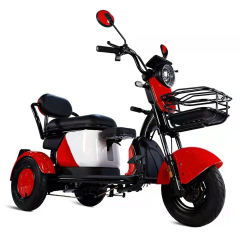 Electric Tricycle 48V 20Ah 600W Motor Electric Scooter Tricycle E Cargo Bike with 2 Seats for Sale