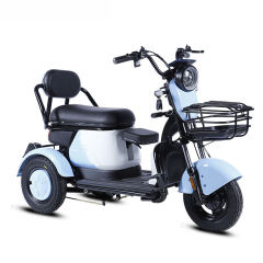 Electric Tricycle 48V 20Ah 600W Motor Electric Scooter Tricycle E Cargo Bike with 2 Seats for Sale