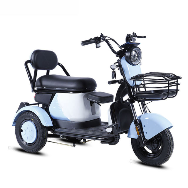 Electric Tricycle 48V 20Ah 600W Motor Electric Scooter Tricycle E Cargo Bike with 2 Seats for Sale