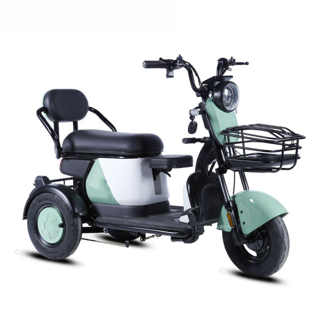 Electric Tricycle 48V 20Ah 600W Motor Electric Scooter Tricycle E Cargo Bike with 2 Seats for Sale