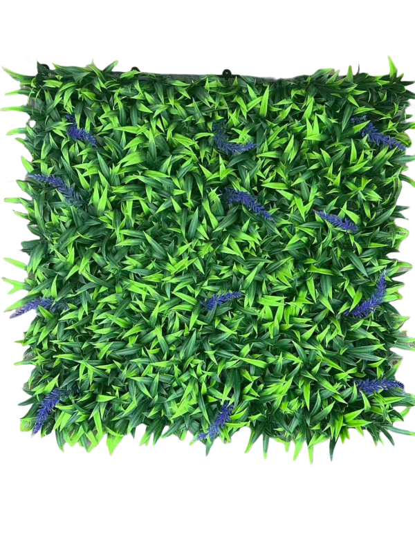 Wattled Wall