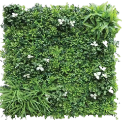 Wattled Wall