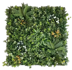 Wattled Wall