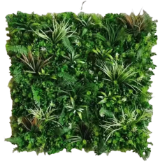 Wattled Wall