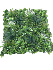 Wattled Wall