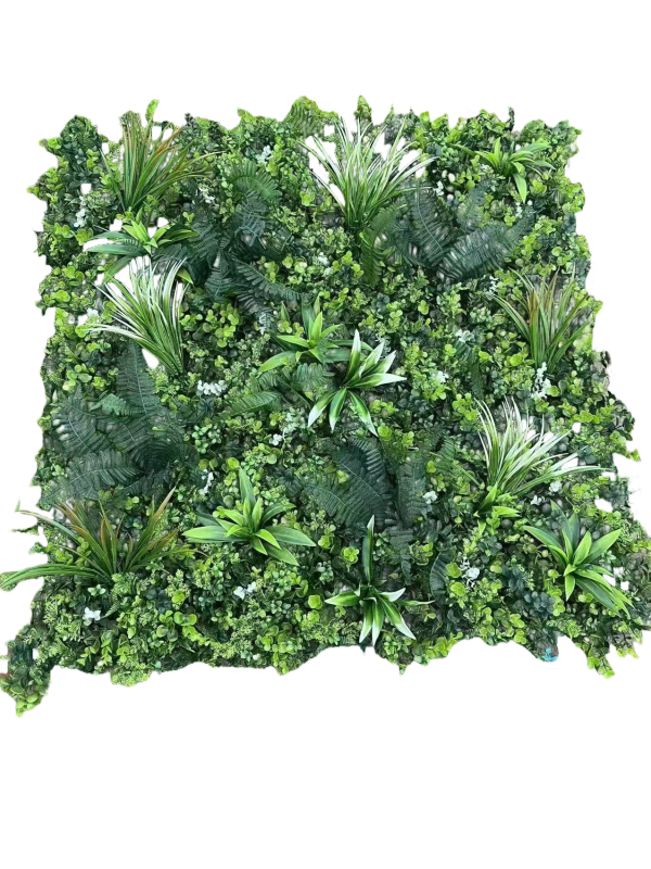 Wattled Wall