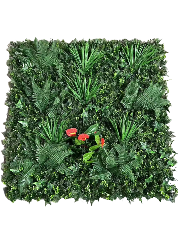 Wattled Wall