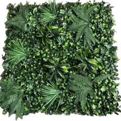 Wattled Wall