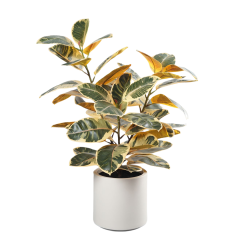 110CM&150CM&175CM RUBBER TREE,110CM (3') 150CM (5')175CM (5.7')  ARTIFICIAL RUBBER TREE -- Chinese suppliers