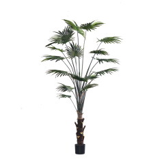 FAUX FAN PALM 175CM-230CM,Wholesale High Quality 175CM-230CM(5.7'-7.5') Artificial Fan Palm Trees - Modern Design -- Chinese suppliers