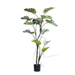 FAUX MONSTERA TREES 100CM-180CM,Modern 100CM-180CM(3'-6')Home Living Room Decoraive Faux Montera Tree Office Hotel Restaurant Decor Artificial Monstera Tree -- Chinese suppliers