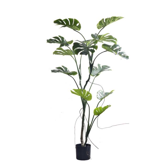 FAUX MONSTERA TREES 100CM-180CM,Modern 100CM-180CM(3'-6')Home Living Room Decoraive Faux Montera Tree Office Hotel Restaurant Decor Artificial Monstera Tree -- Chinese suppliers