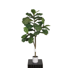 ARTIFICIAL FIDDLE LEAF FIG TREE in PLASTIC WHITE POT 120CM-180CM,120CM(4') 150CM(5') 180CM(6') ARTIFICIAL FIDDLE LEAF FIG TREE -- Chinese suppliers