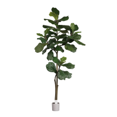 ARTIFICIAL FIDDLE LEAF FIG TREE in PLASTIC WHITE POT 120CM-180CM,120CM(4') 150CM(5') 180CM(6') ARTIFICIAL FIDDLE LEAF FIG TREE -- Chinese suppliers