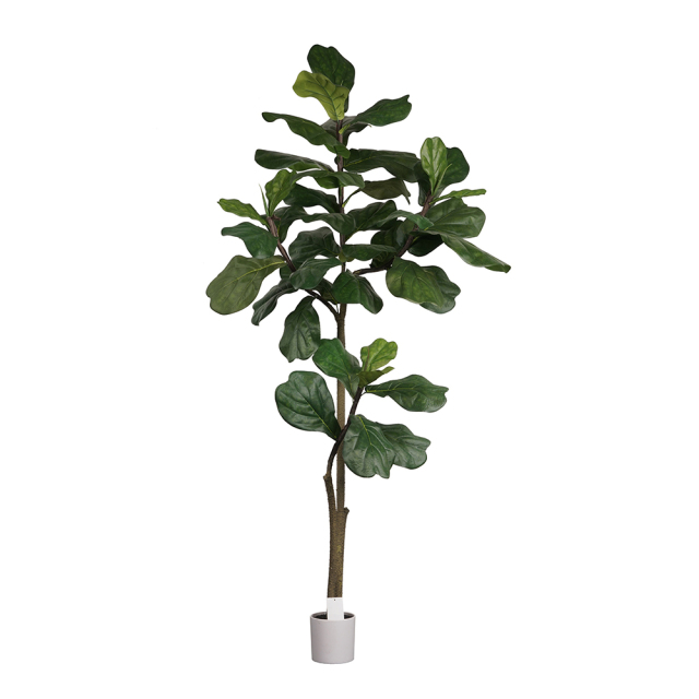 ARTIFICIAL FIDDLE LEAF FIG TREE in PLASTIC WHITE POT 120CM-180CM,120CM(4') 150CM(5') 180CM(6') ARTIFICIAL FIDDLE LEAF FIG TREE -- Chinese suppliers