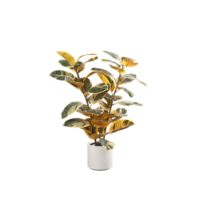 110CM&150CM&175CM RUBBER TREE,110CM (3') 150CM (5')175CM (5.7')  ARTIFICIAL RUBBER TREE -- Chinese suppliers