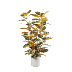 110CM&150CM&175CM RUBBER TREE,110CM (3') 150CM (5')175CM (5.7')  ARTIFICIAL RUBBER TREE -- Chinese suppliers