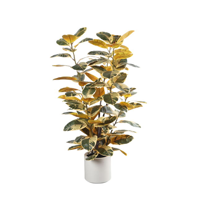 110CM&150CM&175CM RUBBER TREE,110CM (3') 150CM (5')175CM (5.7')  ARTIFICIAL RUBBER TREE -- Chinese suppliers