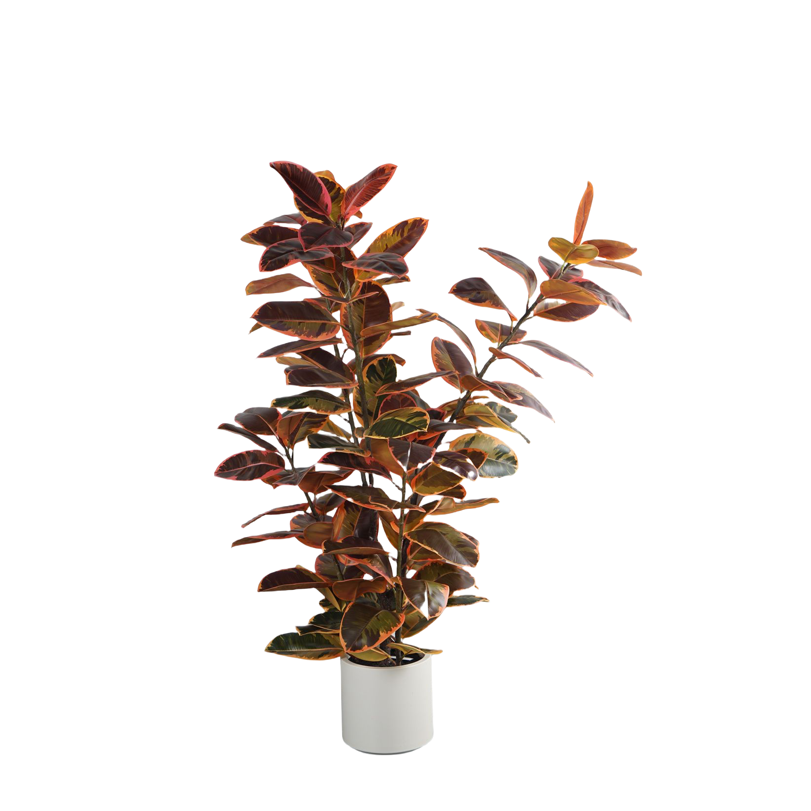 110CM&150CM&175CM RUBBER TREE,110CM (3') 150CM (5')175CM (5.7')  ARTIFICIAL RUBBER TREE -- Chinese suppliers