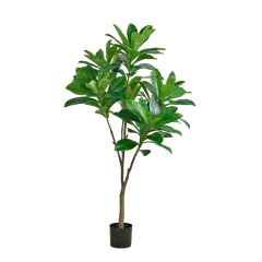 120CM-185CM Artificial Elaeocarpus Trees,Wholesale High Quality 126CM (4') - 185CM (6') Artificial Elaeocarpus Trees - Natural Green Look, Chinese Suppliers