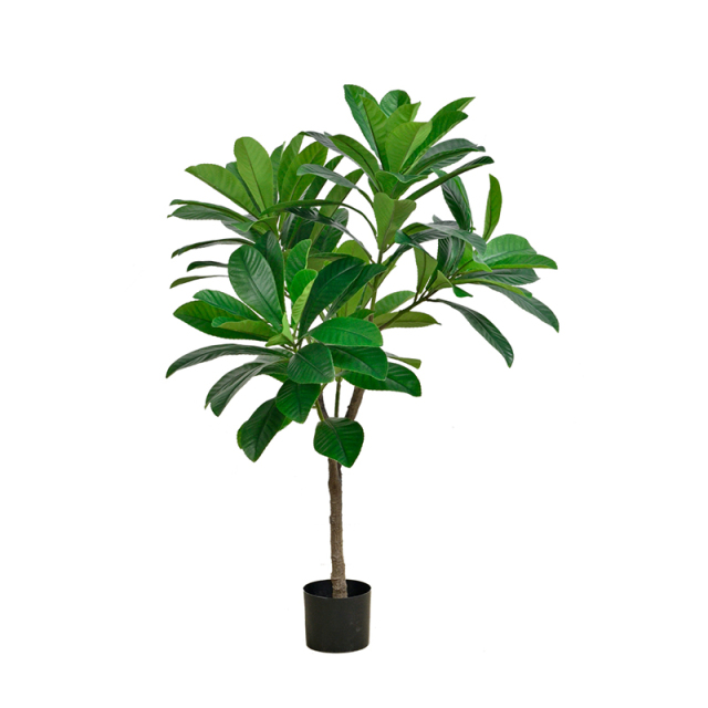 120CM-185CM Artificial Elaeocarpus Trees,Wholesale High Quality 126CM (4') - 185CM (6') Artificial Elaeocarpus Trees - Natural Green Look, Chinese Suppliers