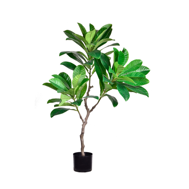 120CM-185CM Artificial Elaeocarpus Trees,Wholesale High Quality 126CM (4') - 185CM (6') Artificial Elaeocarpus Trees - Natural Green Look, Chinese Suppliers
