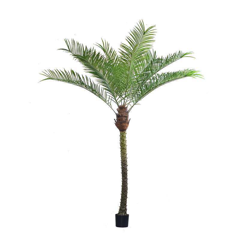 200CM-380CM FAUX PALM TREES (Removable Leaves/KD Packing),Wholesale Faux Palm Trees 220CM(7.2')-380CM(12.5') - Hotel/Banquet/Commercial Landscaping, Removable Leaves & KD Packing Chinese Suppliers