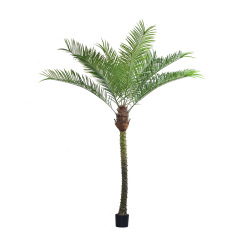 200CM-380CM FAUX PALM TREES (Removable Leaves/KD Packing),Wholesale Faux Palm Trees 220CM(7.2')-380CM(12.5') - Hotel/Banquet/Commercial Landscaping, Removable Leaves & KD Packing Chinese Suppliers