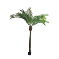 200CM-380CM FAUX PALM TREES (Removable Leaves/KD Packing),Wholesale Faux Palm Trees 220CM(7.2')-380CM(12.5') - Hotel/Banquet/Commercial Landscaping, Removable Leaves & KD Packing Chinese Suppliers