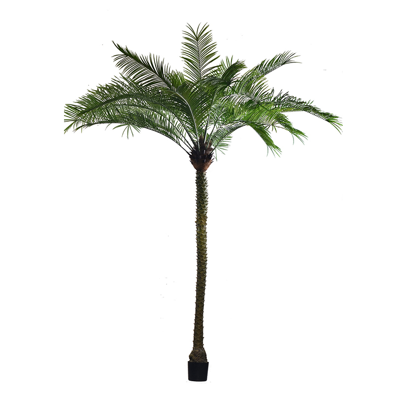 200CM-380CM FAUX PALM TREES (Removable Leaves/KD Packing),Wholesale Faux Palm Trees 220CM(7.2')-380CM(12.5') - Hotel/Banquet/Commercial Landscaping, Removable Leaves & KD Packing Chinese Suppliers