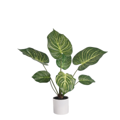 68CM & 90CM Faux Zebra Plants,Wholesale Faux Zebra Plants 68CM(2.2')-90CM(3') - Home/Desk/Retail Decor, Striped Leaf Design Chinese Suppliers