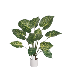 68CM & 90CM Faux Zebra Plants,Wholesale Faux Zebra Plants 68CM(2.2')-90CM(3') - Home/Desk/Retail Decor, Striped Leaf Design Chinese Suppliers