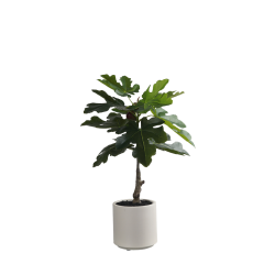 60CM Home Table Decor Faux Fig Potted Plant,Wholesale 60CM (2') Faux Fig Potted Plants - Home Table Decor, Office Desktop Ornament - High Quality Artificial Greenery