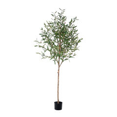 180CM-300CM ARTIFICIAL OLIVE TREES in NATURAL TRUNKS,Wholesale 180-300cm(6'-10') Natural Trunk Artificial Olive Trees | Modern Art Decor for Café & Bar | Chinese Supplier