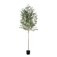 180CM-300CM ARTIFICIAL OLIVE TREES in NATURAL TRUNKS,Wholesale 180-300cm(6'-10') Natural Trunk Artificial Olive Trees | Modern Art Decor for Café & Bar | Chinese Supplier