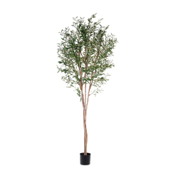 180CM-300CM ARTIFICIAL OLIVE TREES in NATURAL TRUNKS,Wholesale 180-300cm(6'-10') Natural Trunk Artificial Olive Trees | Modern Art Decor for Café & Bar | Chinese Supplier