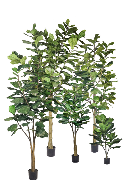 90CM Fiddle Leaf Fig Tree