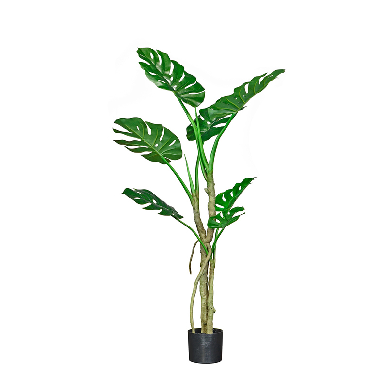 135CM 165CM MONSTERA TREE,135CM 165CM MONSTERA TREE