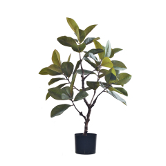 105CM 190CM MAGNOLIA TREE,105CM 190CM MAGNOLIA TREE