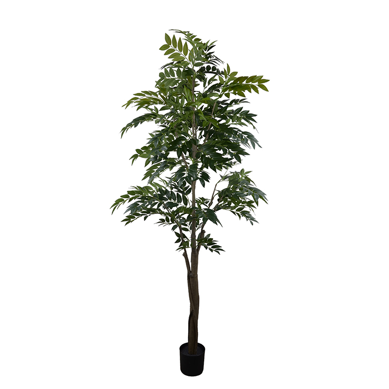 125CM 210CM 300CM Nandin Trees,125CM 210CM 300CM Nandin Trees