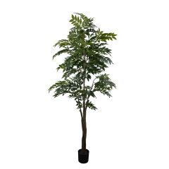 125CM 210CM 300CM Nandin Trees,125CM 210CM 300CM Nandin Trees